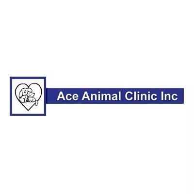 Ace Animal Clinic, Michigan, Westland